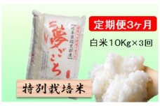 特別栽培米★[定期便] 3カ月★毎月 白米10kg【夢ごこち】 米 お米 白米 コメ ご飯 定期 岐阜県 池田町 [№5644-1555]