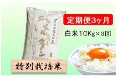 特別栽培米★[定期便] 3カ月★毎月 白米10kg【ミルキークイーン】 米 お米 白米 ミルキー クイーン 定期 岐阜県 池田町 [№5644-1553]