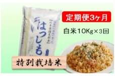 特別栽培米★[定期便] 3カ月★毎月 白米10kg【ハツシモ】 米 お米 白米 コメ ご飯 定期 岐阜県 池田町 [№5644-1556]