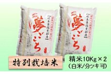 【令和7年産】特別栽培米 20kg【白米､7分ツキ】（夢ごこち）白米 [№5644-7111]