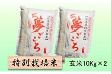【令和7年産】特別栽培米 20kg【玄米】（夢ごこち） [№5644-1584]