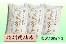 【令和7年産】特別栽培米 30kg【玄米】（ミルキークイーン） [№5644-1588]