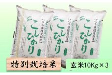 【令和7年産】特別栽培米 30kg【玄米】（コシヒカリ） [№5644-1590]