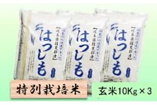 【令和7年産】特別栽培米 30kg【玄米】（ハツシモ） [№5644-1594]