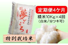 定期便4カ月【令和7年産】特別栽培米10kg（白米/7分/5分ツキ可）【白米】(夢ごこち) 米 お米 白米 コメ ご飯 定期 岐阜県 池田町 [№5644-1601]
