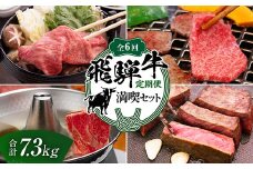 【定期便】飛騨牛 全6回 合計7.3kg 満喫セット ステーキ 焼肉 しゃぶしゃぶ すき焼き 牛肉 黒毛和牛 5等級 肉 牛 ビーフ 食品 岐阜県 坂祝町 さかほぎ F6M-062