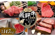 【定期便】飛騨牛 全12回 合計14.7kg スペシャルセット ステーキ 焼肉 しゃぶしゃぶ すき焼き 牛肉 黒毛和牛 5等級 肉 岐阜県 坂祝町 さかほぎ F6M-063