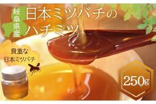 岐阜県産 日本ミツバチのハチミツ 250g ハチミツ 蜂蜜 調味料 はちみつ 加工品 食品 岐阜県 坂祝町 さかほぎ F6M-070