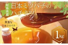 岐阜県産 日本ミツバチのハチミツ 1kg  ハチミツ 蜂蜜 調味料 はちみつ 加工品 食品 岐阜県 坂祝町 さかほぎ F6M-071