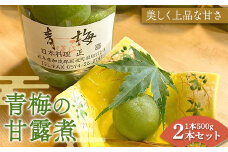 青梅の甘露煮 ビン詰め2本セット（500g×2本） 加工品 食品 岐阜県 坂祝町 さかほぎ F6M-109