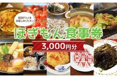 ほぎもん食事券(3,000円分）グルメ お食事券 チケット 商品券 ギフト プレゼント 岐阜県 坂祝町 さかほぎ F6M-144
