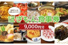 ほぎもん食事券(9,000円分）グルメ お食事券 チケット 商品券 ギフト プレゼント 岐阜県 坂祝町 さかほぎ F6M-146