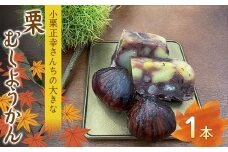 さかほぎ 小栗正幸さんちの大きな栗むしようかん 栗 栗むし羊羹 羊羹 ようかん 栗ようかん スイーツ 和菓子 秋 岐阜県 坂祝町 さかほぎ F6M-140