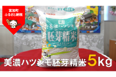 【10098】美濃ハツシモ胚芽精米5kg　令和４年度産