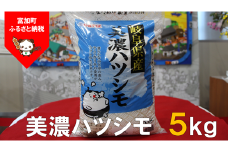 【9038】美濃ハツシモ5kg　令和４年度産