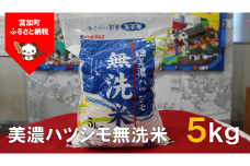 【9041】美濃ハツシモ無洗米5kg　令和４年度産