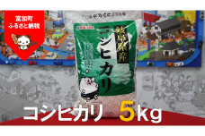 【9039】コシヒカリ5kg　令和４年度産