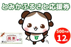 【20084】とみかふるさと応援券 6,000円分 応援券 感謝券 グルメ 食べる 遊ぶ アクティビティ 発行日から1年
