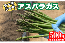 【10102】アスパラガス 500g