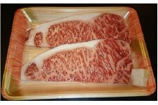 飛騨牛A5～4等級　サーロインステーキ2枚（約180g×2枚）│国産 牛肉 和牛 ブランド すてーき