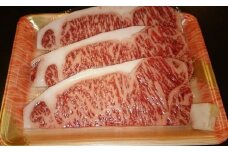 飛騨牛A5～4等級　サーロインステーキ3枚（約180g×3枚）│国産 牛肉 和牛 ブランド すてーき