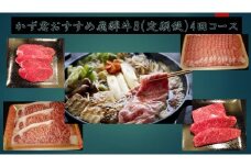 F-2 かず君おすすめ飛騨牛B（定期便）4回コース