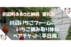 【期間限定】＜平日用＞令和6年1月6日～令和6年5月8日使用分　いちご摘み取り体験ペアチケット（大人２名様、４０分食べ放題、練乳付き）