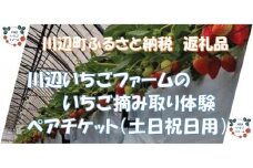 【期間限定】＜土日祝日用＞令和6年1月6日～令和6年5月8日使用分　いちご摘み取り体験ペアチケット（大人２名様、４０分食べ放題、練乳付き）