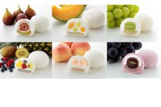 【期間限定】養老軒の季節の大福　6個入（1種類）│お楽しみ 夏 秋 人気 旬 フルーツ ふるーつ スイーツ 大福 和スイーツ おやつ おかし お菓子 和菓子 日時指定可