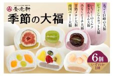 【期間限定】養老軒の季節の大福　6個入（1種類）│お楽しみ 夏 秋 人気 旬 フルーツ ふるーつ スイーツ 大福 和スイーツ おやつ おかし お菓子 和菓子 日時指定可