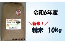 【期間・数量限定】※事前受付（2024年9月中旬～配送開始）※ 新米！高橋さんのこだわり米（精米）10㎏│令和6年 令和6年産 新米 精米 米 お米 おこめ コメ
