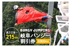 【高さ215ｍ】日本一のバンジージャンプ「岐阜バンジー」3,000円割引券 (208)