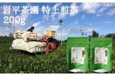 岩平茶園 特上煎茶 100g入り 2パック 計200g (362)