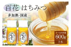農林水産大臣賞受賞!! 使いやすいプラ容器入り 非加熱生はちみつ 百花 300g 2本 純粋生はちみつ (374)