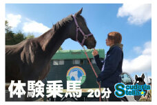 体験乗馬 1回 (20分) 乗馬体験 馬 東海 岐阜県  (423)