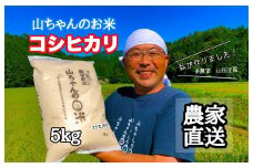 486.令和6年度産 農家直送「山ちゃんのお米」コシヒカリ5kg 残留農薬202項目検査済み 残留放射能測定済み 