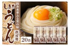 島田うどん 5袋（20食分） うどん 乾麺 島田麺 島田うどん しまだ麺 しまだうどん (165)