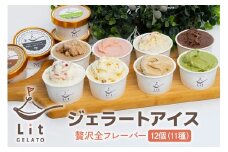 498. 贅沢全フレーバー12個 (個性あふれるフレーバー・定番フレーバー)ジェラート 手作りジェラート アイスクリーム 手作りアイス お茶 みりん スイーツ