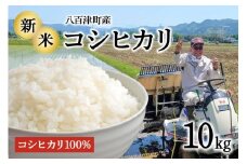 令和7年度米 新米！【3営業日以内に発送】地元でも美味しいと評判！八百津町小川さんのコシヒカリ10Kg すぐ 発送 すぐに お届け 農家 さん 直送(476)