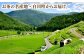 ますぶち園の白川茶 セット 詰め合わせ お茶 緑茶 茶葉 白川町