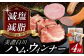美濃白川ハム セット ハム はむ ウインナー ういんなー ウィンナー うぃんなー ウインナー 詰め合わせ ハム詰め合わせ 白川町