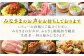 岐阜県 郷土料理「ケイチャン」セット 味付豚焼肉・豚ホルモン付 鶏肉 豚肉 ケイチャン 焼肉 ホルモン ほるもん 岐阜 白川町