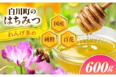 純粋百花はちみつ 600g×1本 はちみつ 蜂蜜 ハチミツ ハニー 国産 白川町 / 白川町農業開発 [AWAH007]