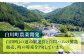 純粋百花はちみつ はちみつ 蜂蜜 ハチミツ ハニー 国産 白川町