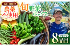 旬のお野菜 ボックス 栽培期間中化学肥料・農薬不使用 / やさい 季節の野菜 / 白川町 / 五段農園 [AWAW001]