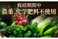 旬のお野菜 ボックス 栽培期間中化学肥料・農薬不使用 やさい 季節の野菜