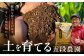 旬のお野菜 ボックス 栽培期間中化学肥料・農薬不使用 やさい 季節の野菜