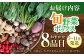 旬のお野菜 ボックス 栽培期間中化学肥料・農薬不使用 やさい 季節の野菜