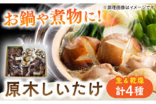 原木しいたけ三昧セット 椎茸 国産 岐阜 白川町 / 清水しいたけ園 [AWAY001]