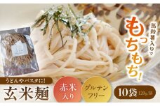 お山の玄米麺 10パックセット うどん パスタ グルテンフリー 白川町 / Sunpo [AWBC003]